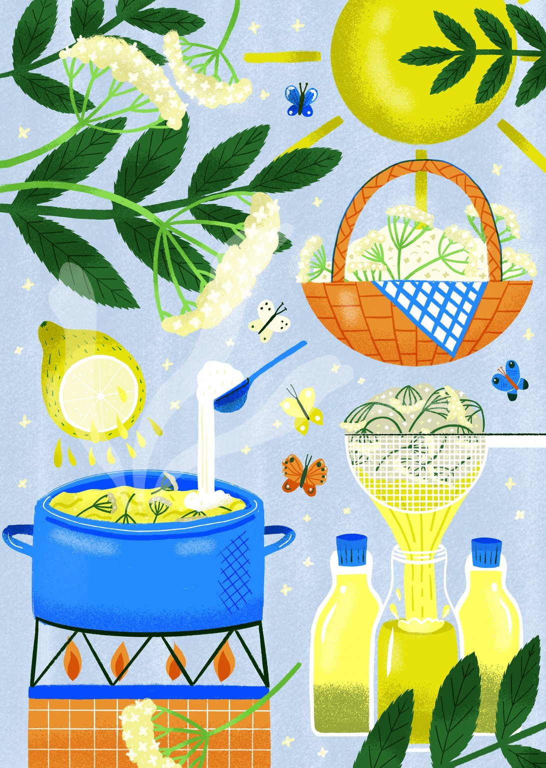 Elly Jahnz Elderflower Cordial