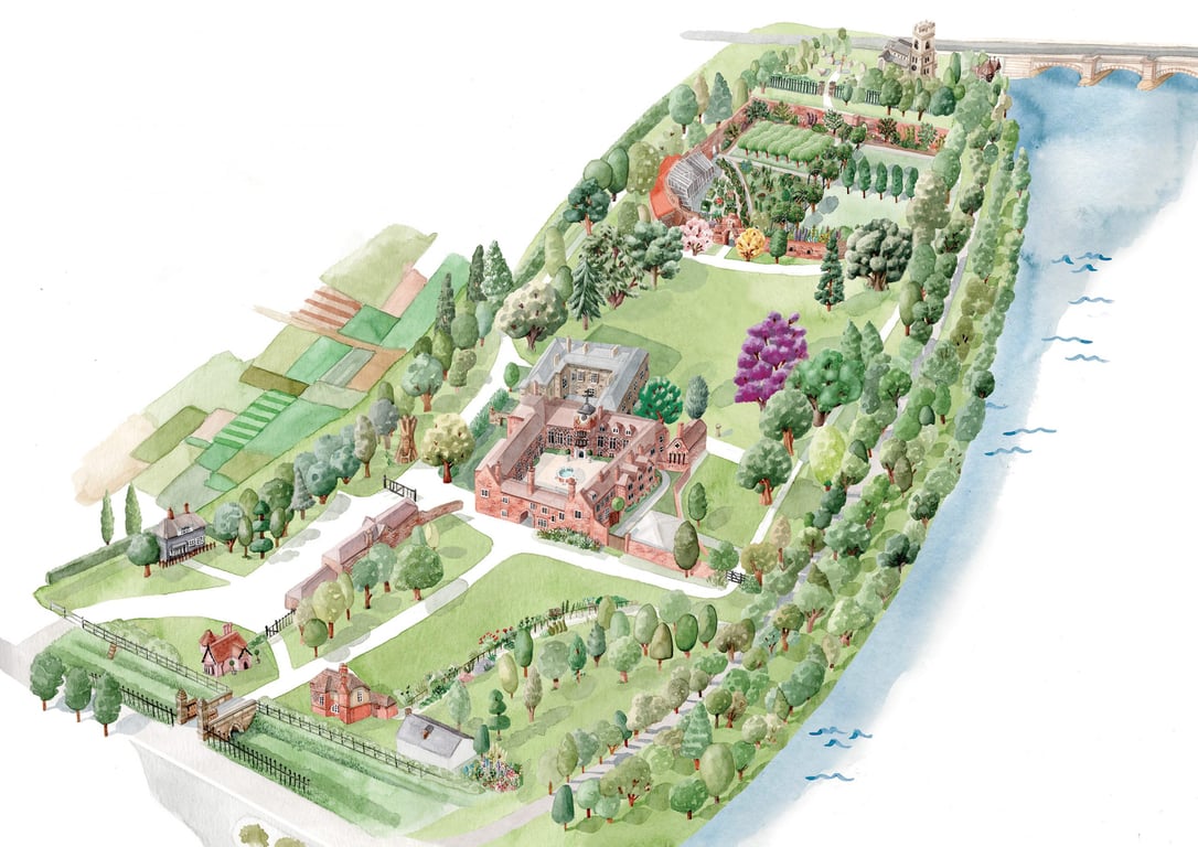 Laura Hallett Illustrated map for Fulham Palace’s new visitor leaflet