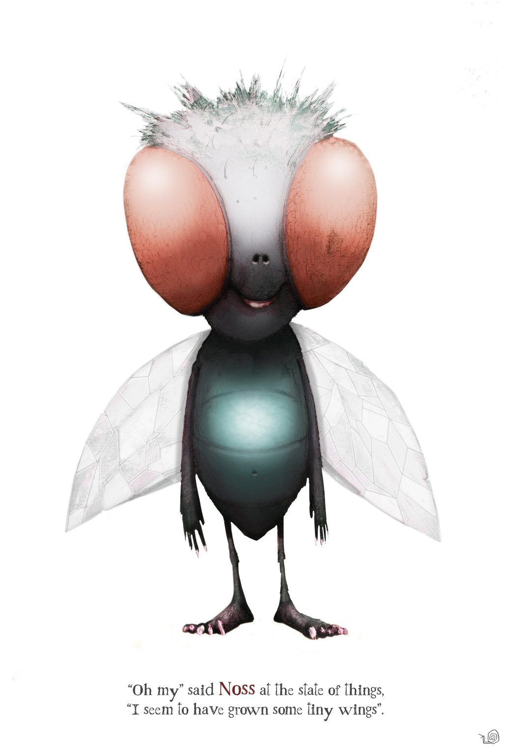 Iain Carroll FLY BOY