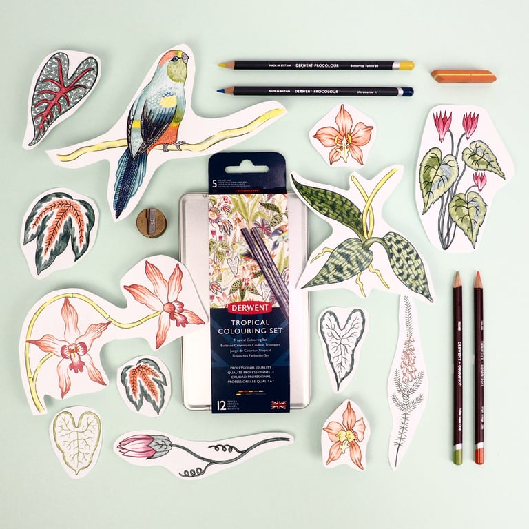 Jacqueline Colley Derwent Pencils