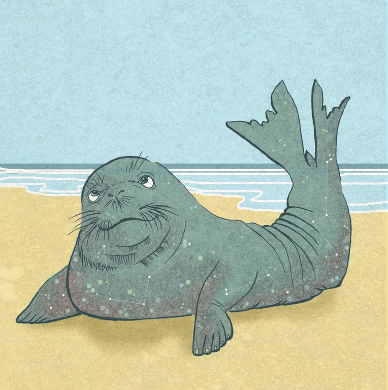 Sally Barnett (INKYMOTES) Monk Seal illustration