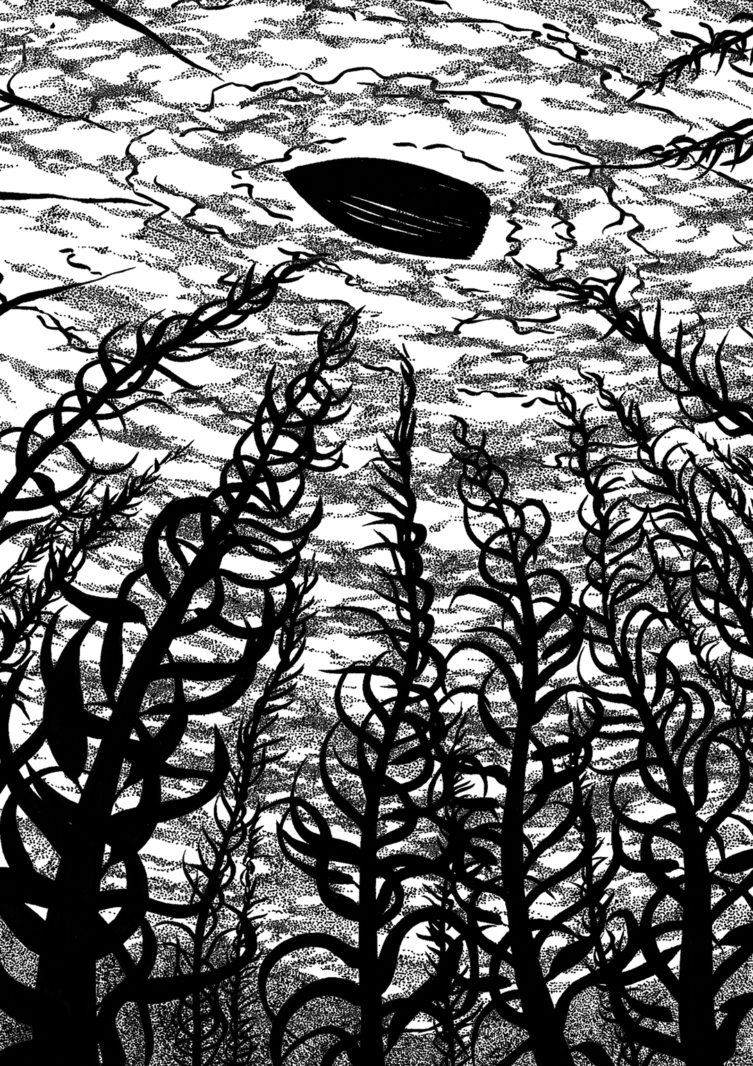 Sally Barnett (INKYMOTES) ink illustration black and white by sally barnett