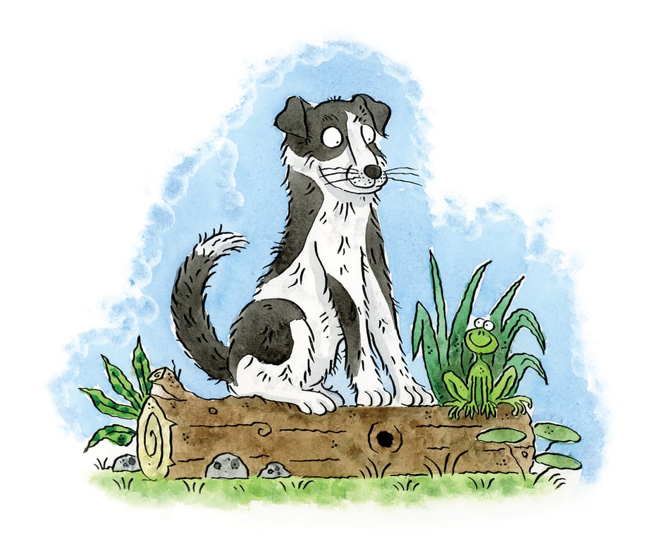 Rob Page B.A (hons) Design, M.A Illustration Dog and frog illustration