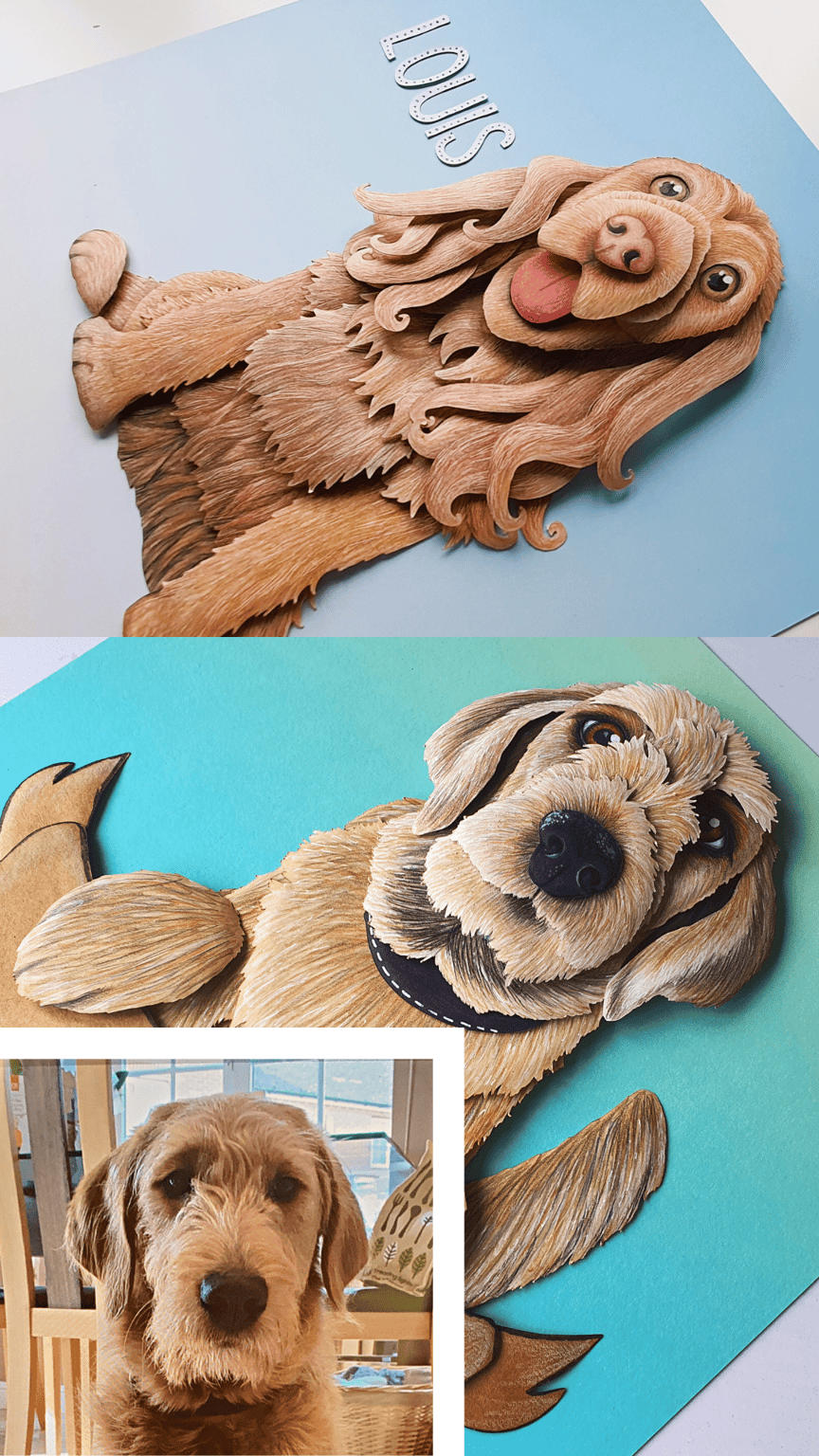 Gemma Lorente-Shore pet portraits dogs