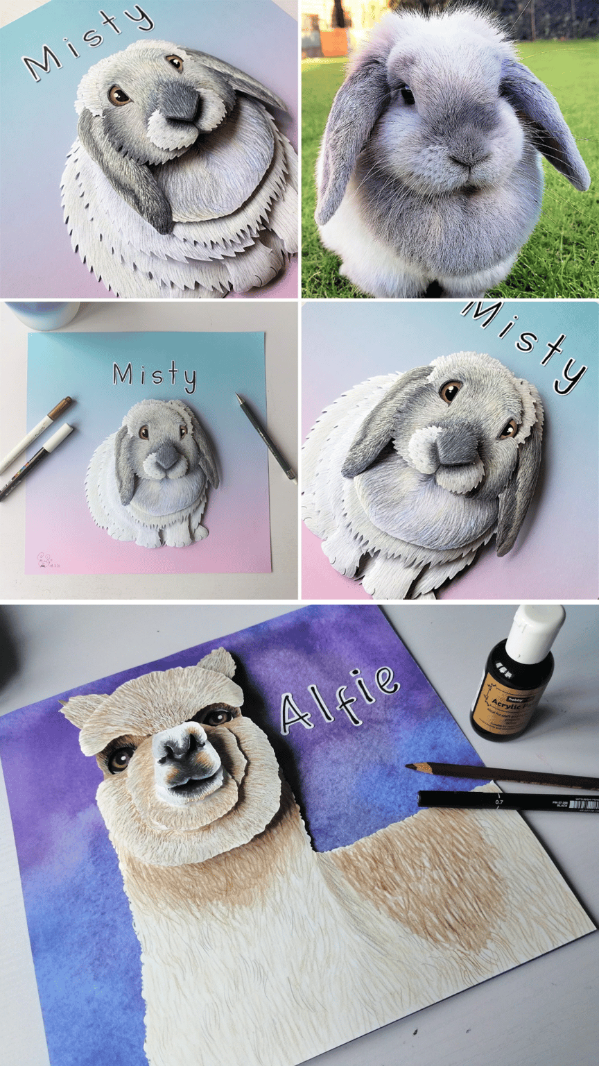 Gemma Lorente-Shore pet portraits rabbit llama
