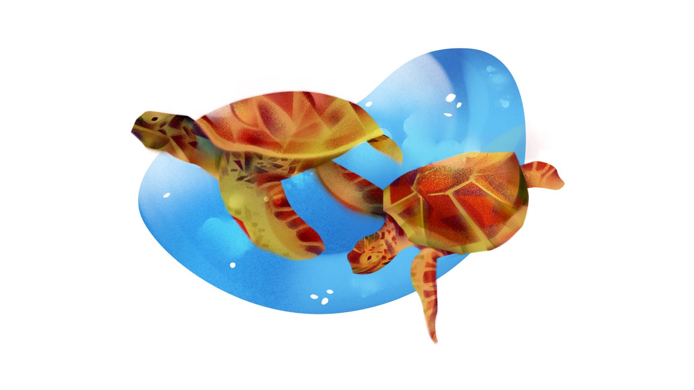 Jia-yi Liu Sea Turtles