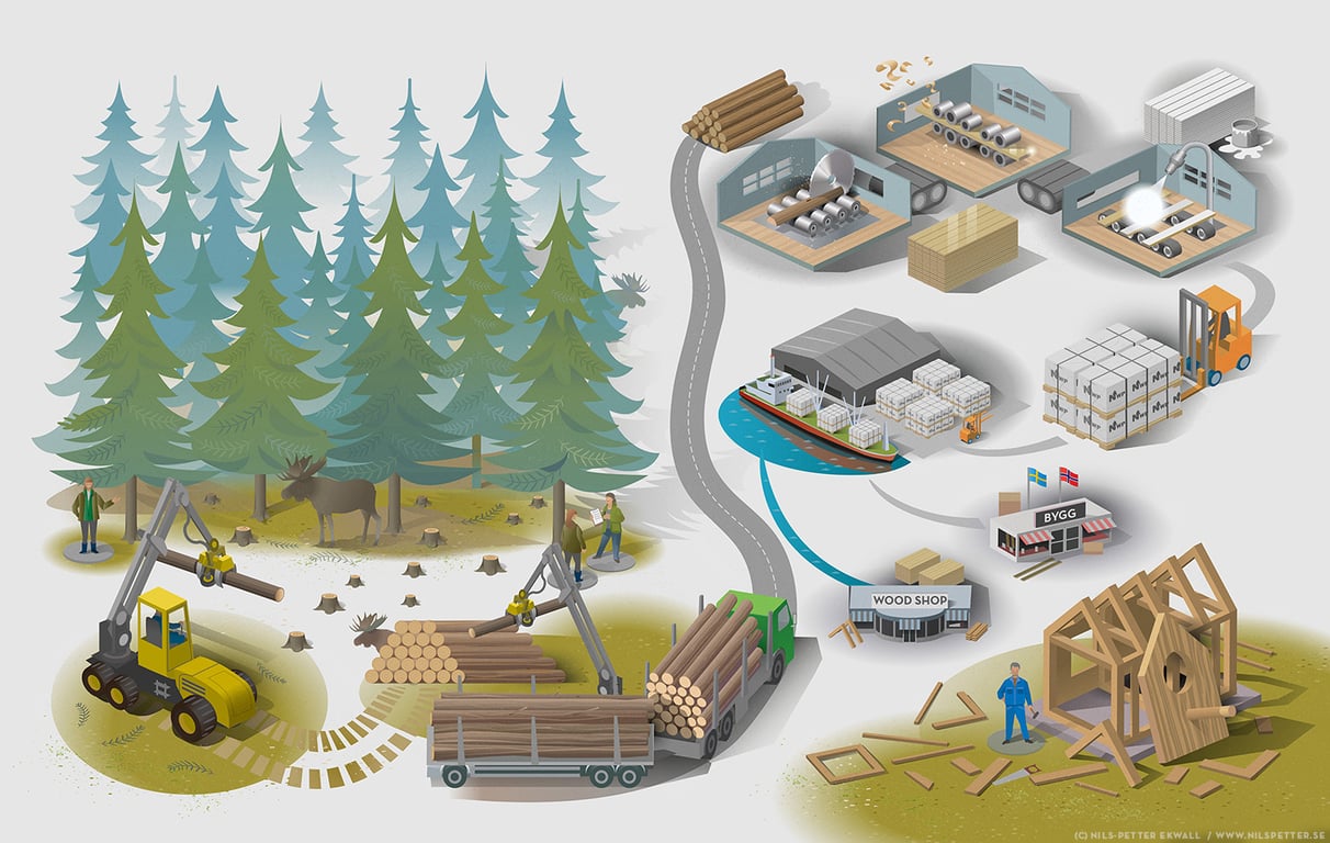 Nils-Petter Ekwall Norrskogen infographic flowchart showing the production, processing and transportation of wood products – from the forest owner to the consumer. Client: Norrskogen
