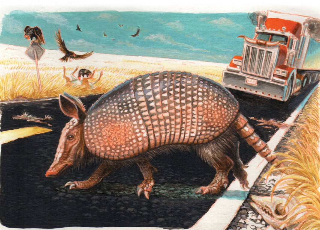 Jeff Crosby Armadillo
