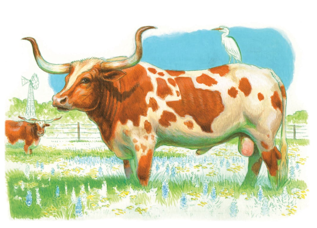 Jeff Crosby Longhorn Steer