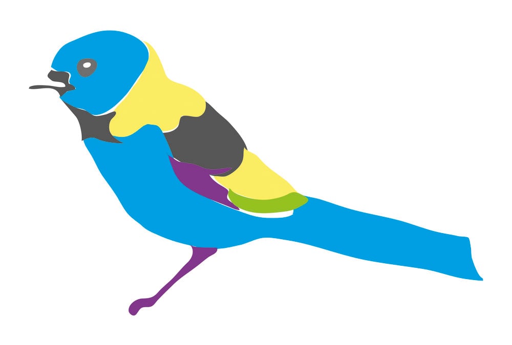 Alexandra Woods bird