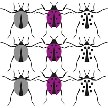 Alexandra Woods Insects Pattern