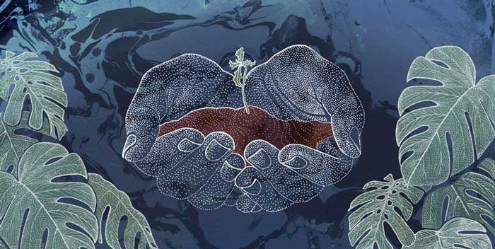 Jennifer N. R. Smith | WonderTheory Composting_hands_WonderTheory_LR