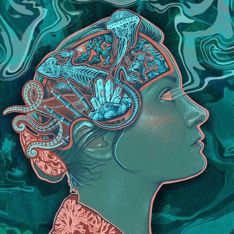 Jennifer N. R. Smith | WonderTheory Hyperfocus_wondertheory_LR