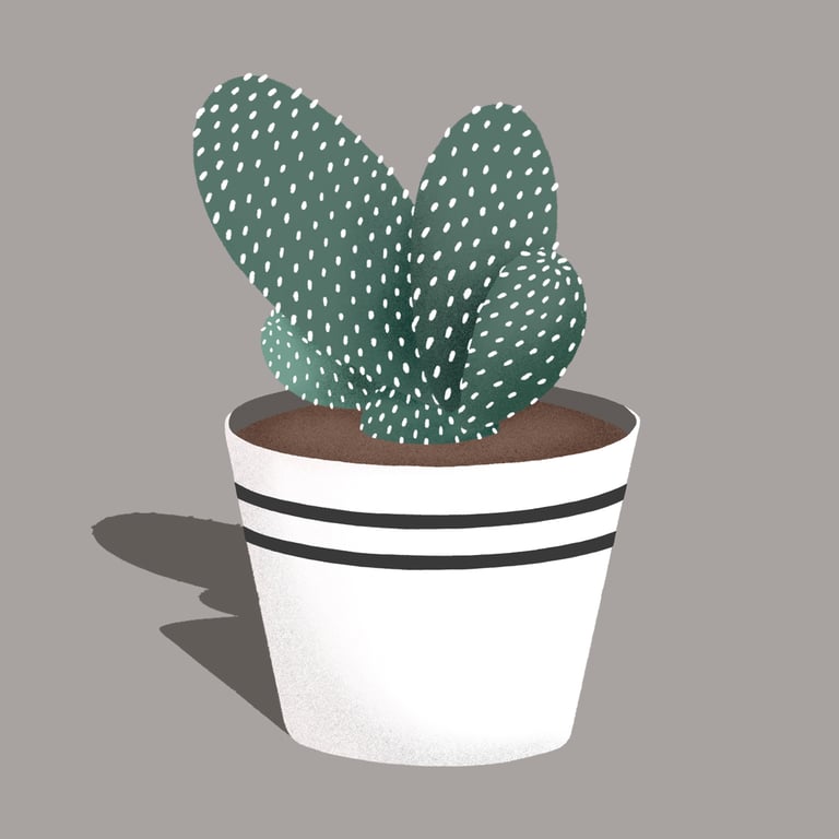 Philipa Rabbit Illo_Cactus_v1