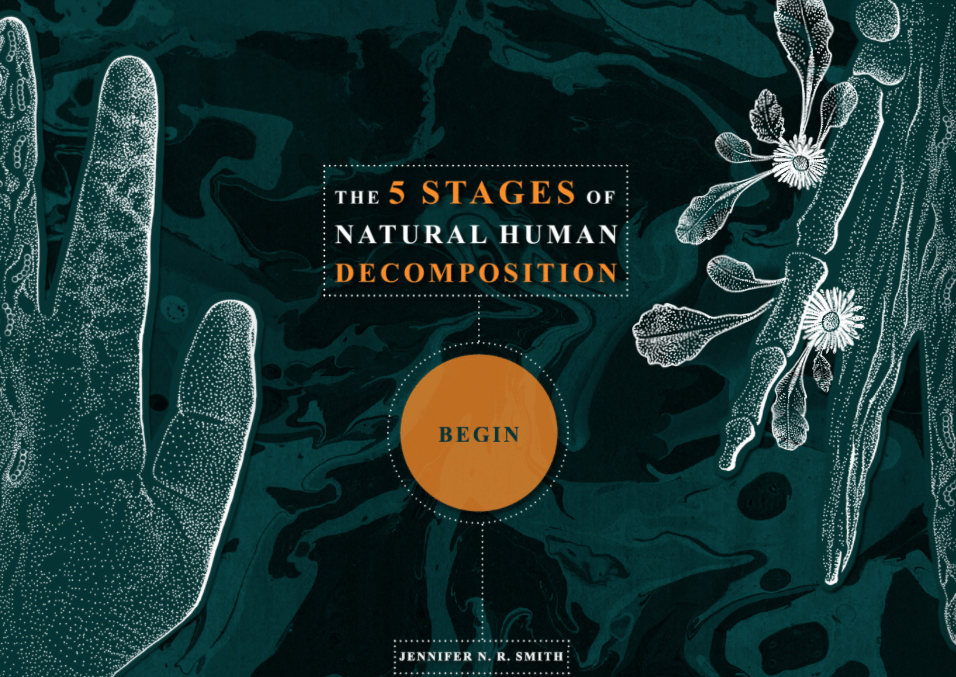 Jennifer N. R. Smith | WonderTheory The 5 Stages of Human Decomposition
