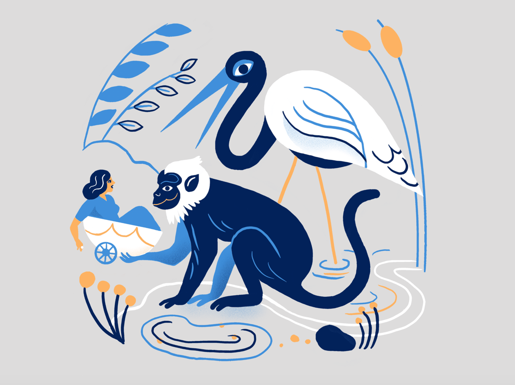 Olivia Boutrou Fables from Sri Lanka