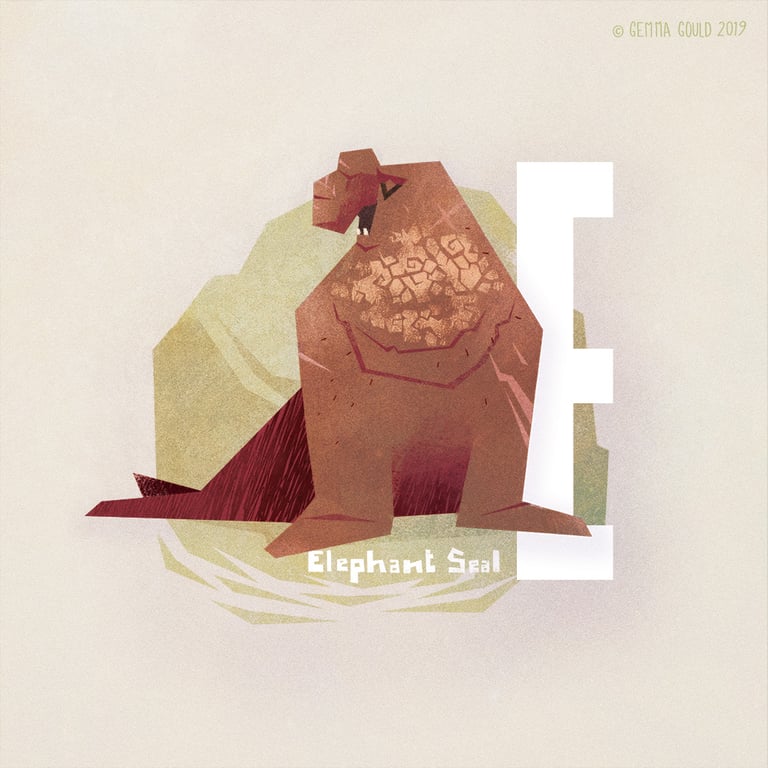 Gemma Gould E for Elephant Seal