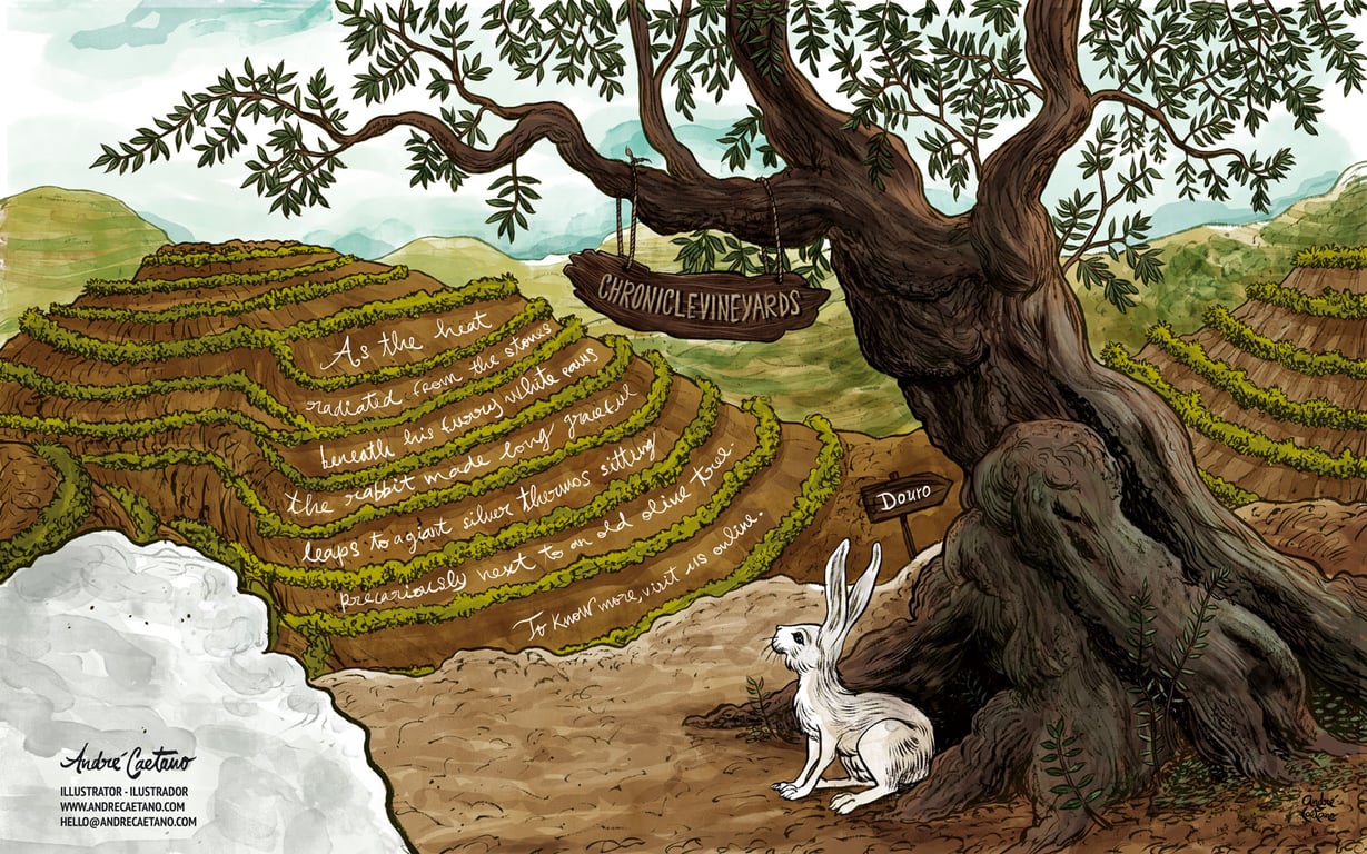 André Caetano AndreCaetano_ChronicleVineyards-Red-wine-label-rotulo-de-vinho-douro-foz-de-coa-oliveira-lebre-sucalcos-douro-olivetree-hare