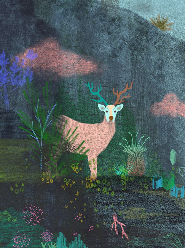 Catalina Carvajal The Deer’s Revery