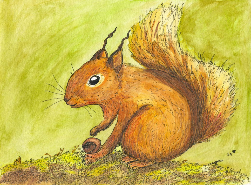Sara Neves Squirrel