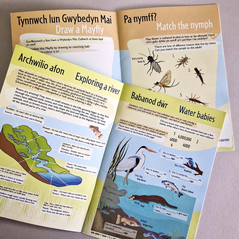 Arry Cain River Explorer’s Activity Book inside.
