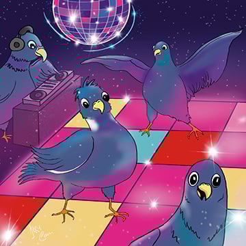 Arry Cain Disco Pigeons