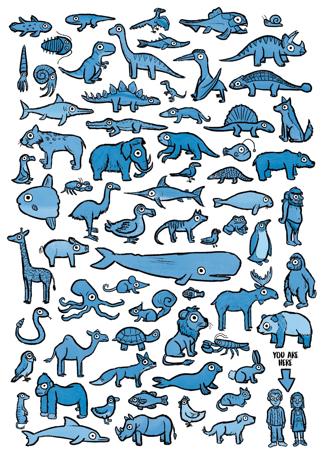 Paul Nugent Evolution