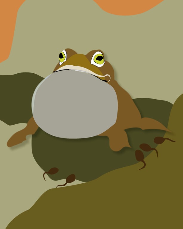 Barbara Vasic FROG AND TADPOLES