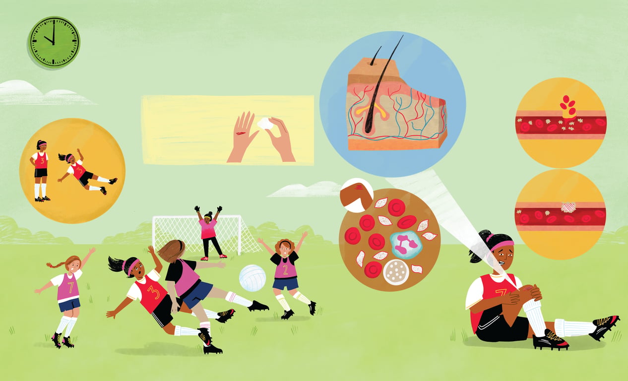 Illustrated by Liz Kay A Day in the life of your body
