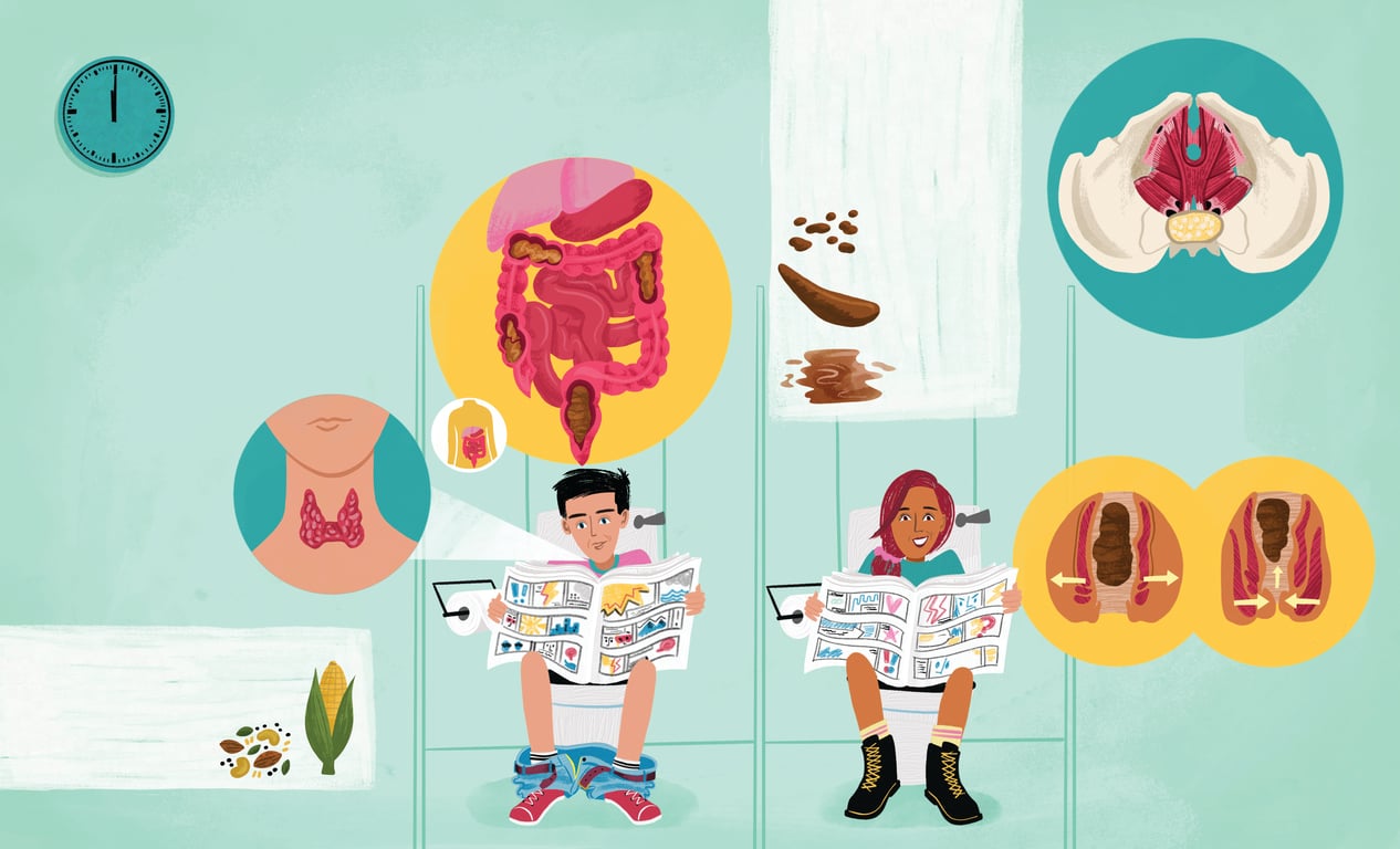 Illustrated by Liz Kay A Day in the life of your body