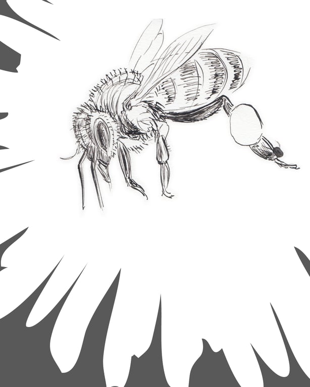Barbara Vasic HONEY BEE