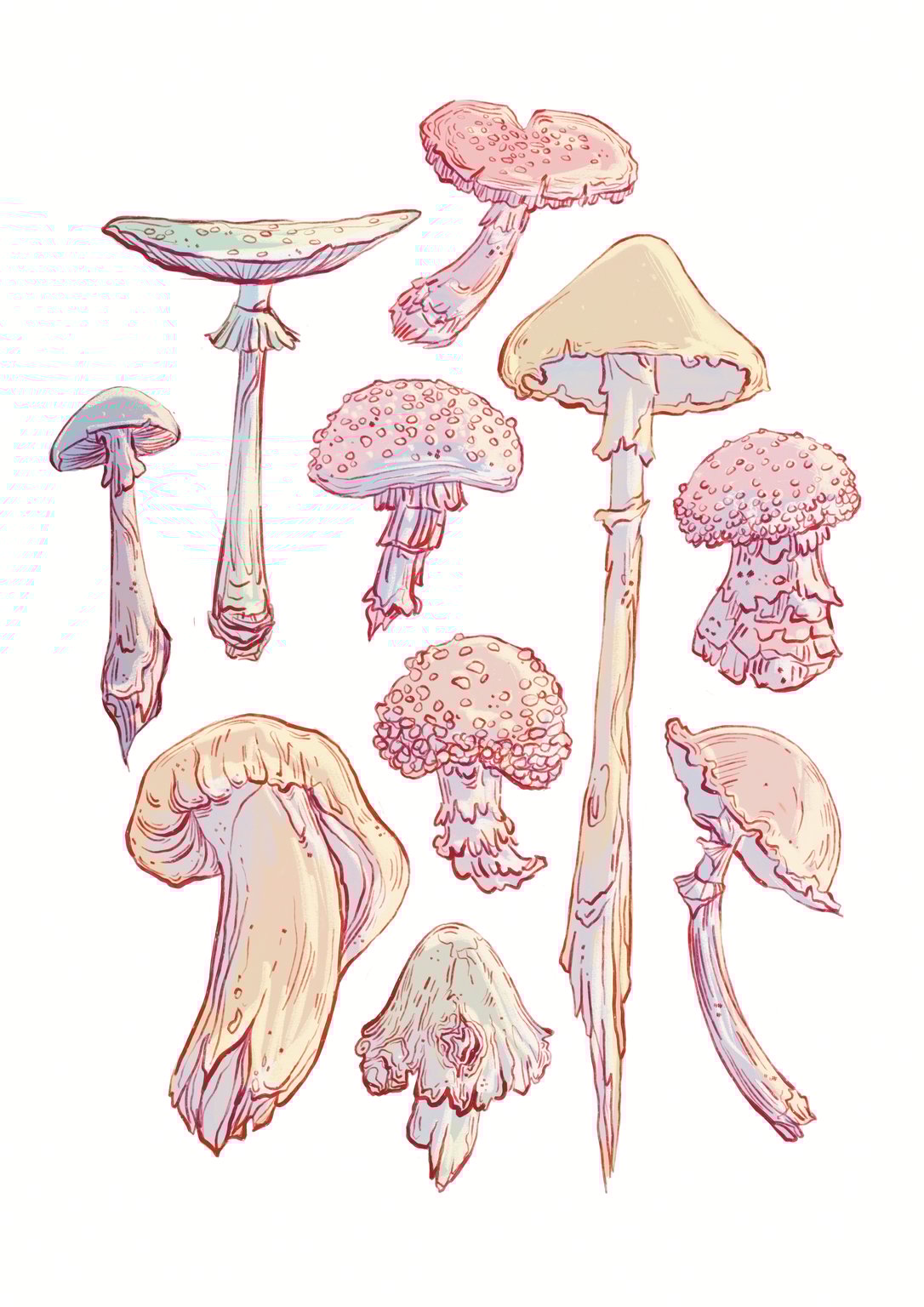 Martha Ford Pastel Fungi