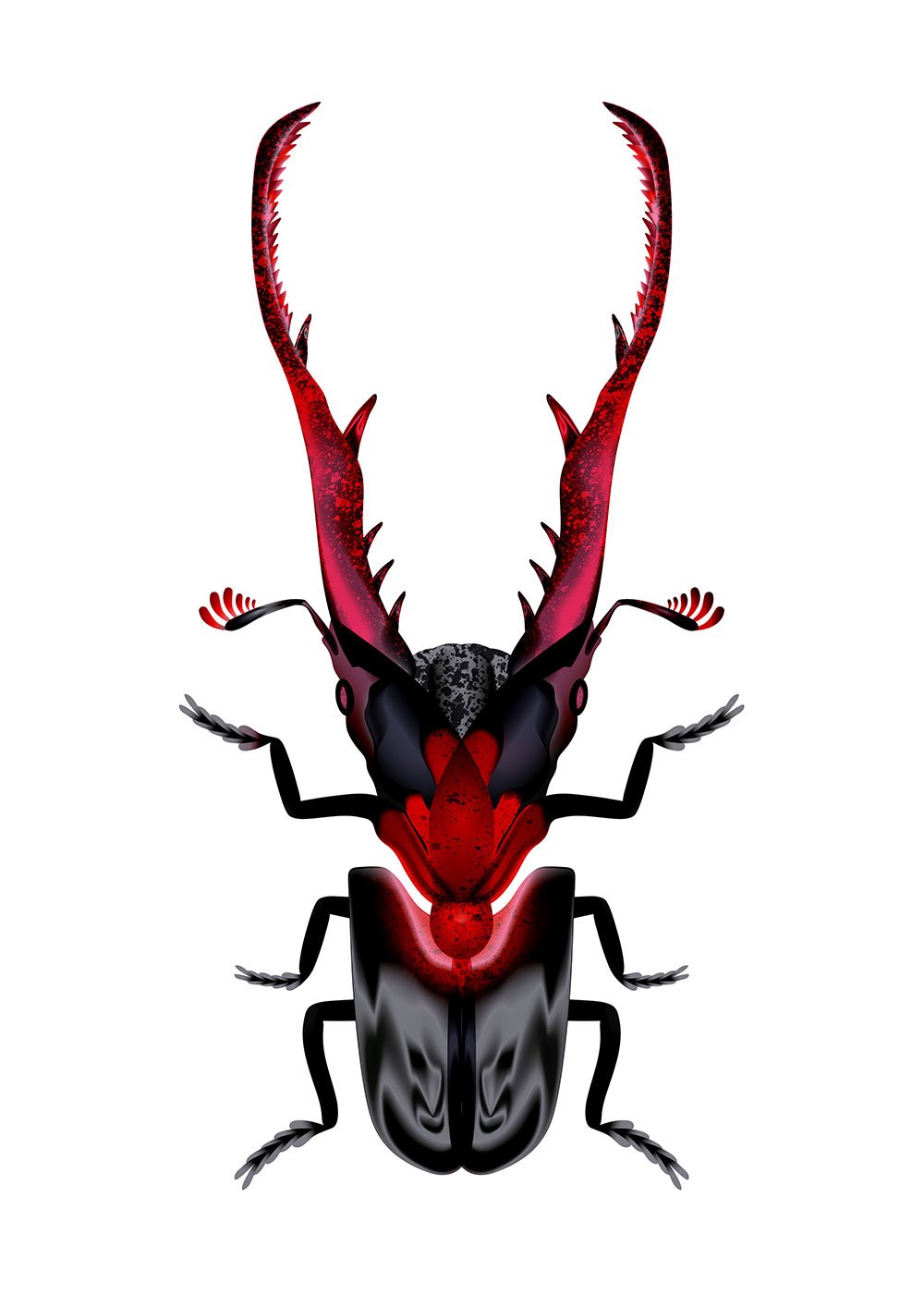 Xavier Segers Ruby Roach 2