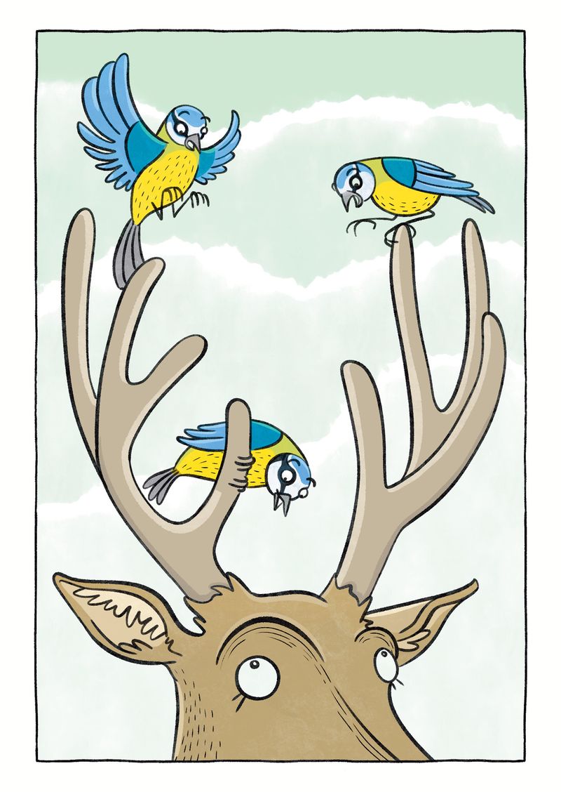 Mathilde Heu Blue tits who mistakenly thought this deer was a tree!