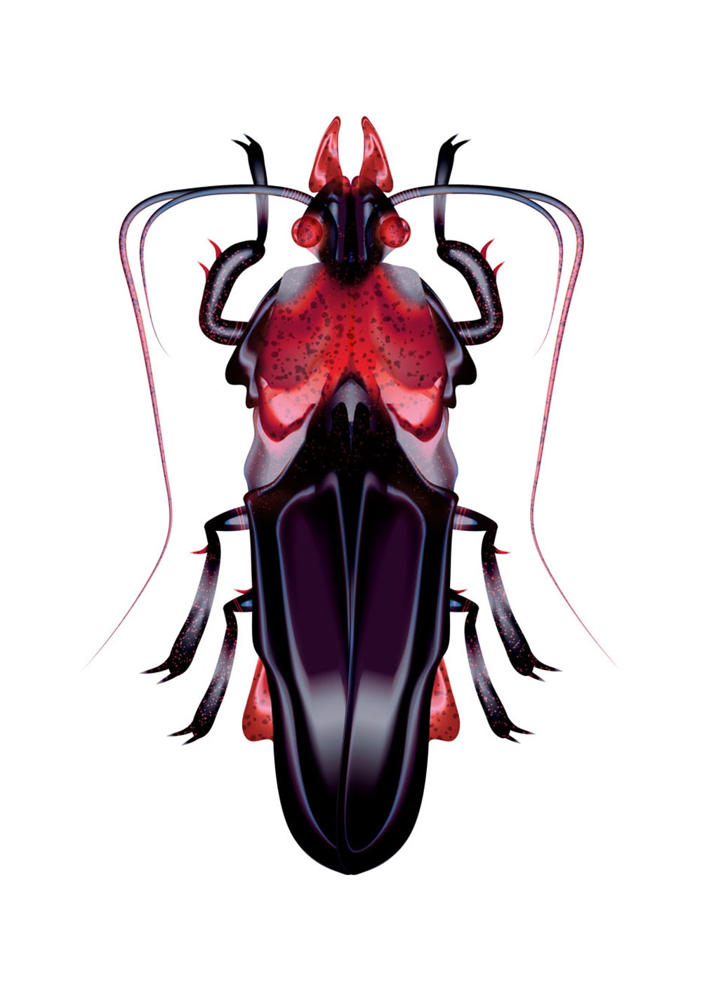 Xavier Segers Ruby Roach 1
