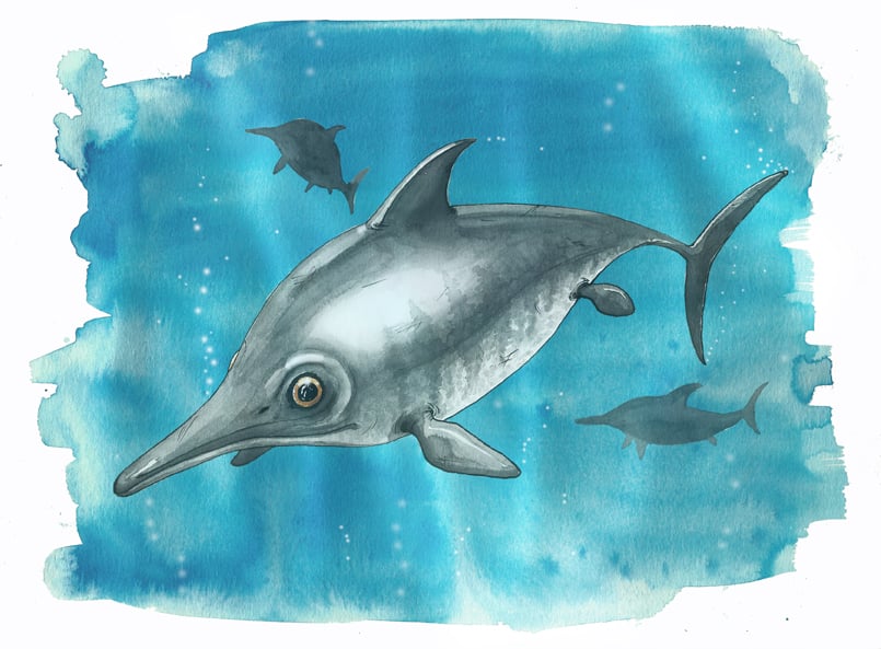 Delphine Jones Ichthyosaur