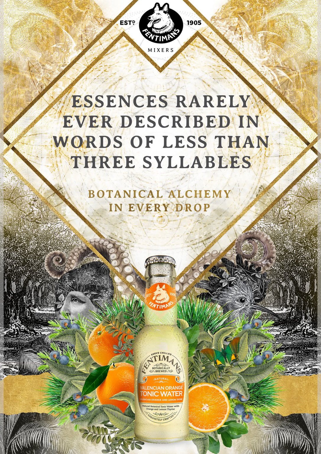 Greg Coulton Alchemy 2 / Fentimans