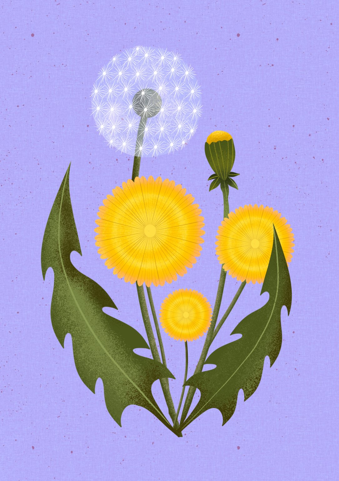 Melissa Donne Dandelions