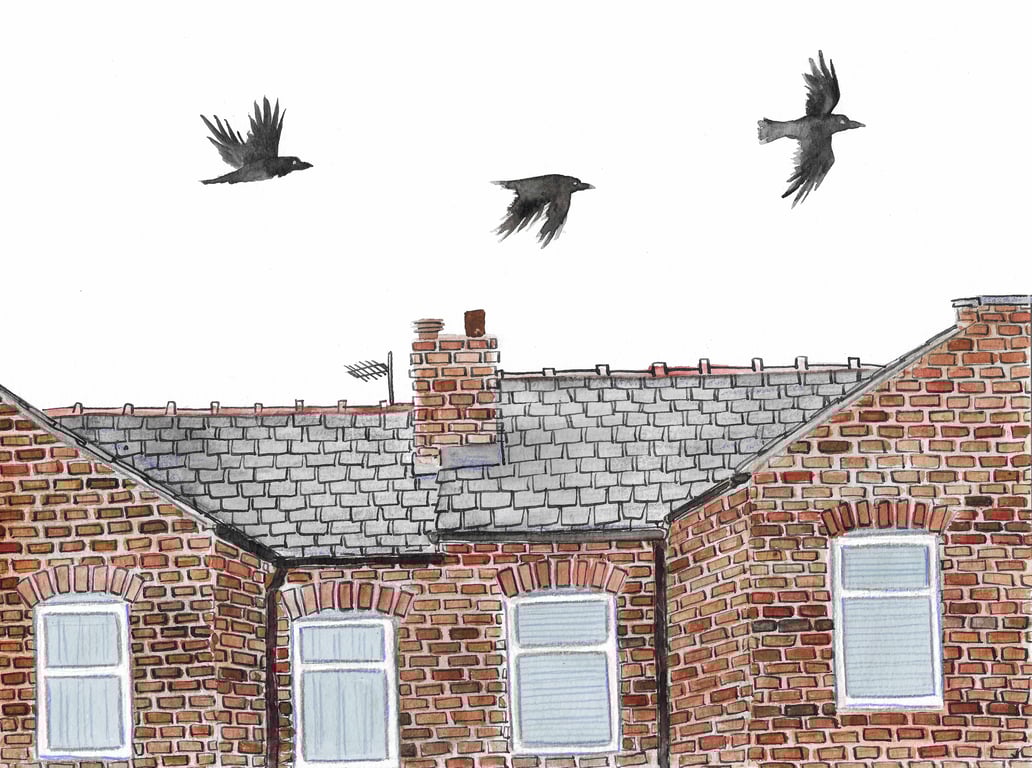 Alexandra Shaw Crows over rooftops