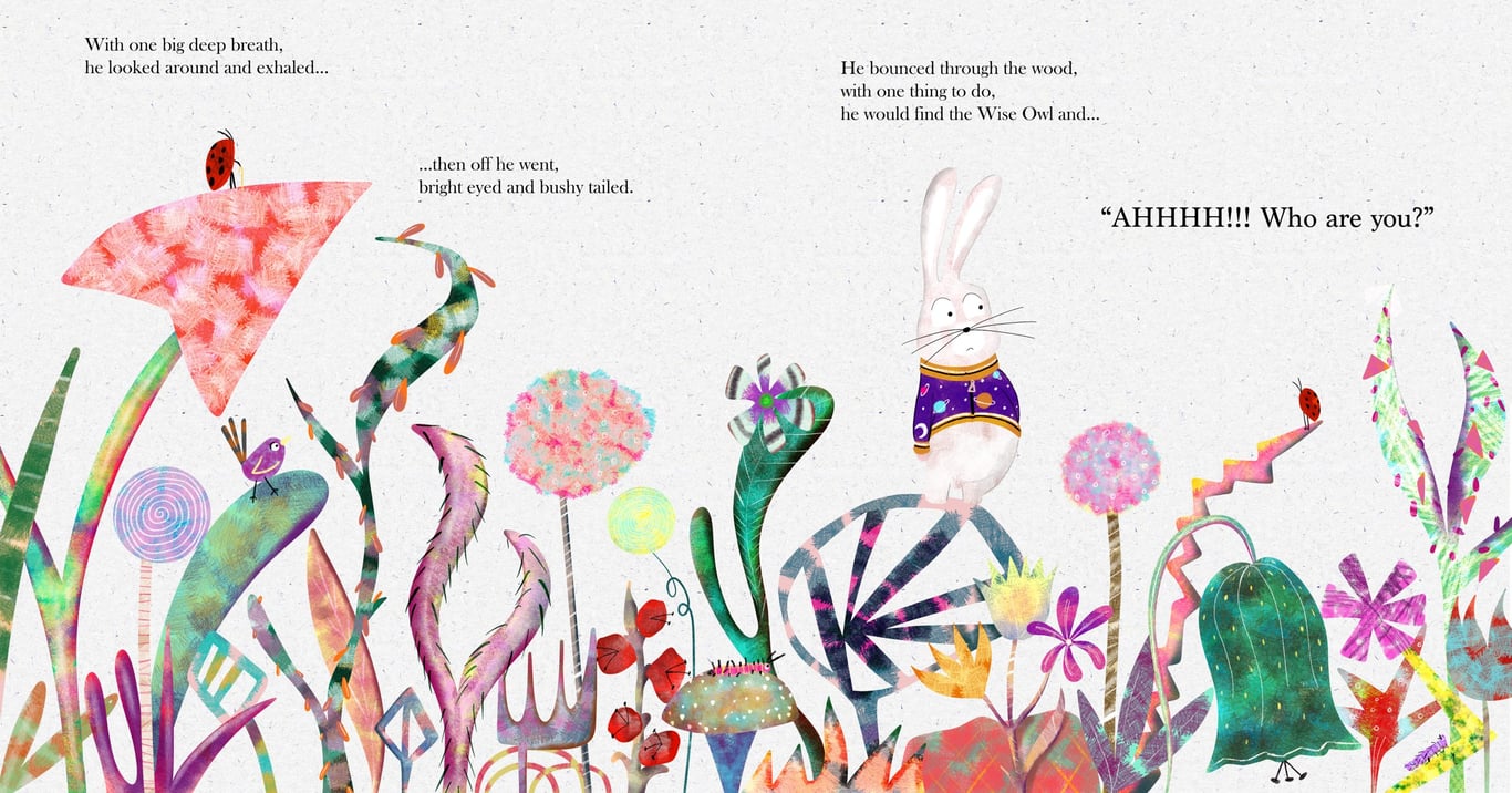 Nicholas Child - The Children’s Illustrator Children’s Book