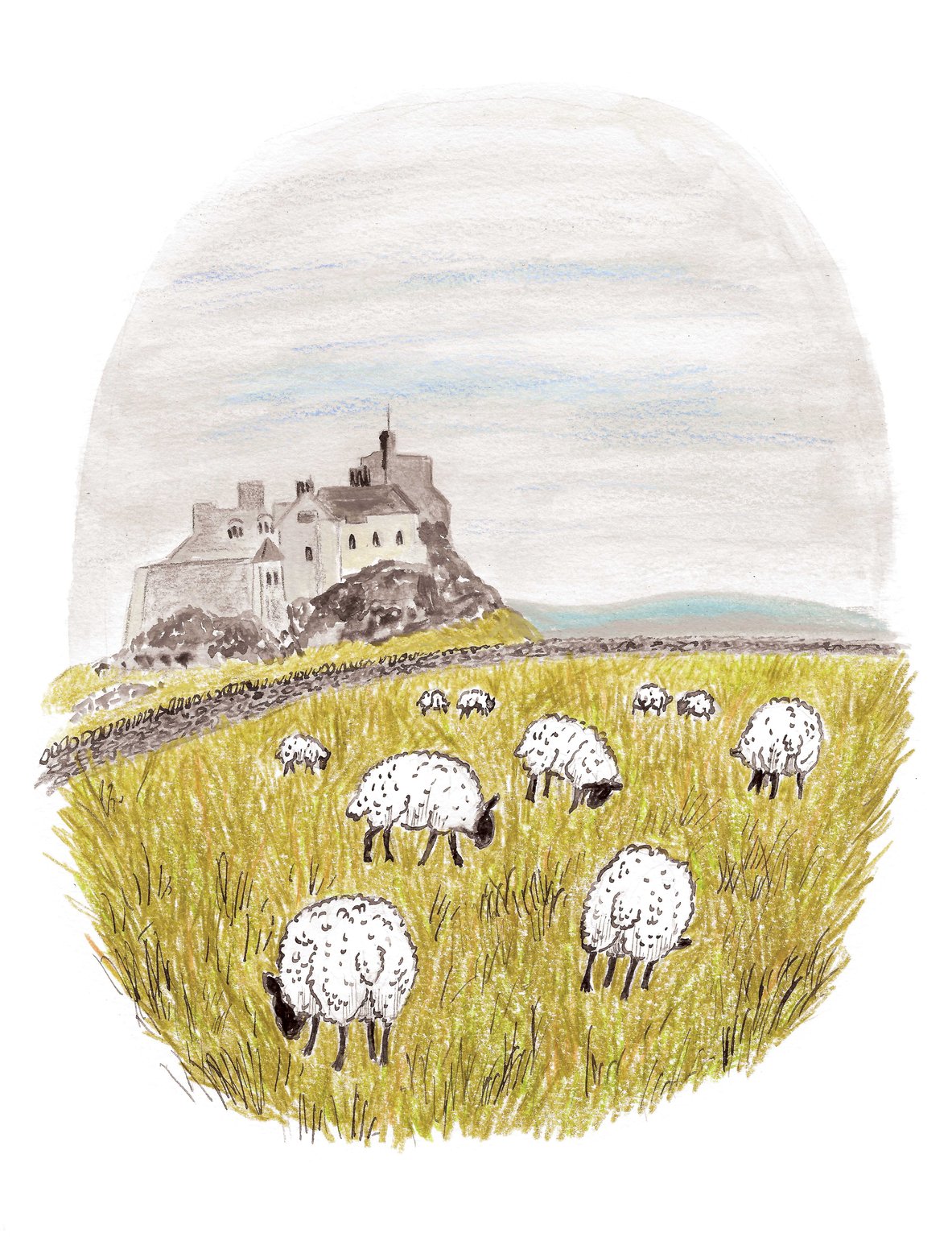 Alexandra Shaw Sheep and Lindisfarne
