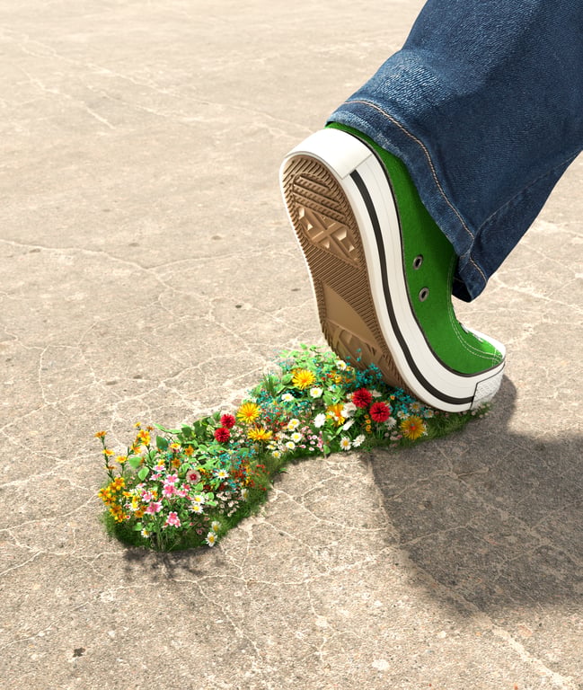 Lisa Sheehan 8-scholastic-choices-carbon-footprint-coverjpg