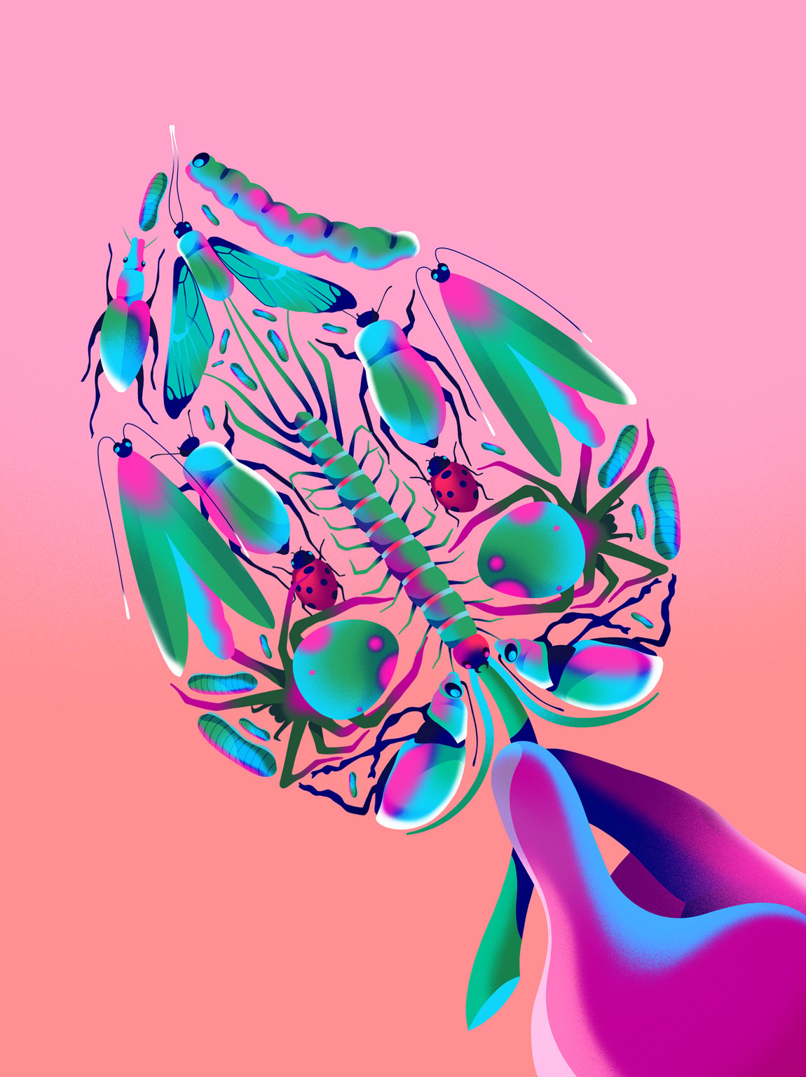 Ollie Hirst OllieHirst_BBCSciFocus_Insects_Final_RGB_WEB