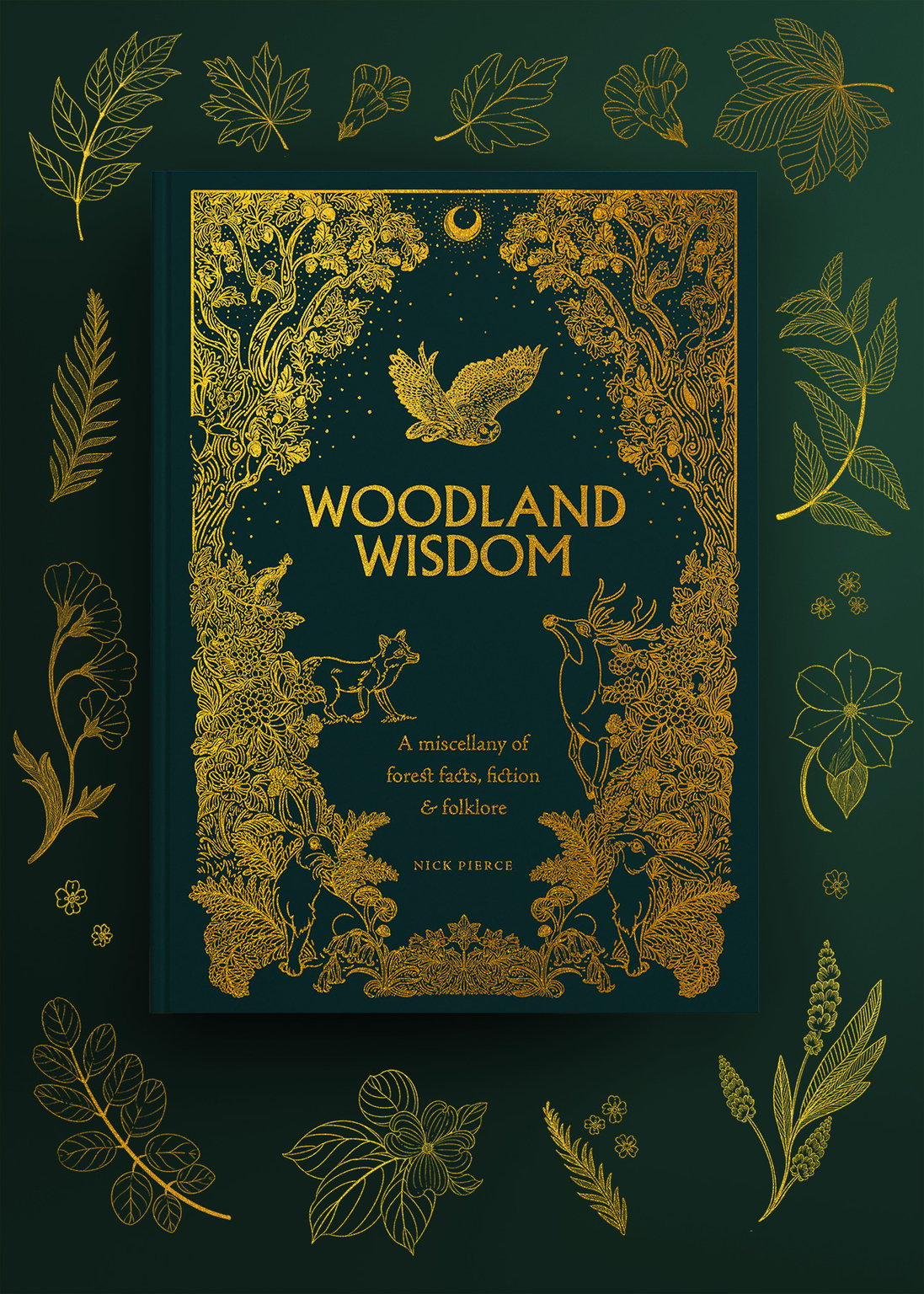 Alejandra Penaloza Woodland Wisdom by Nick Pierce Book Cover Illustration