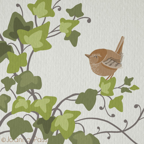 Joanna Pass paper wren