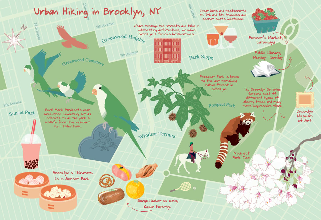 Cybèle Illustration Map of Brooklyn, NY