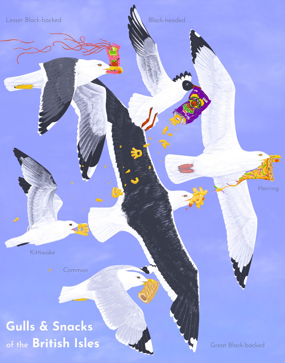 Ethan Roos Seagulls and Snacks