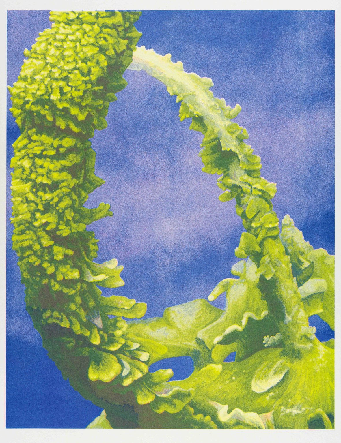 Ethan Roos Riso Lichen 2
