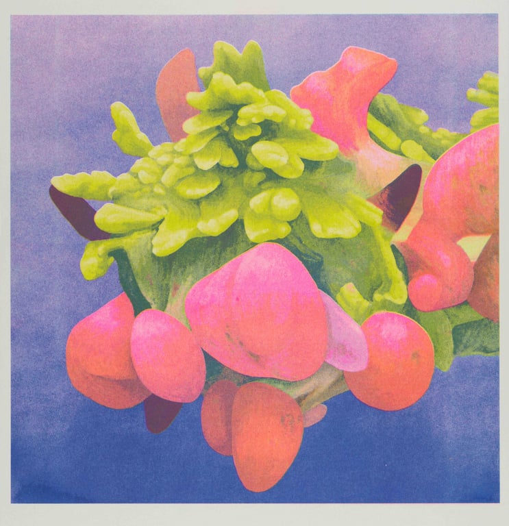 Ethan Roos Riso Lichen 4