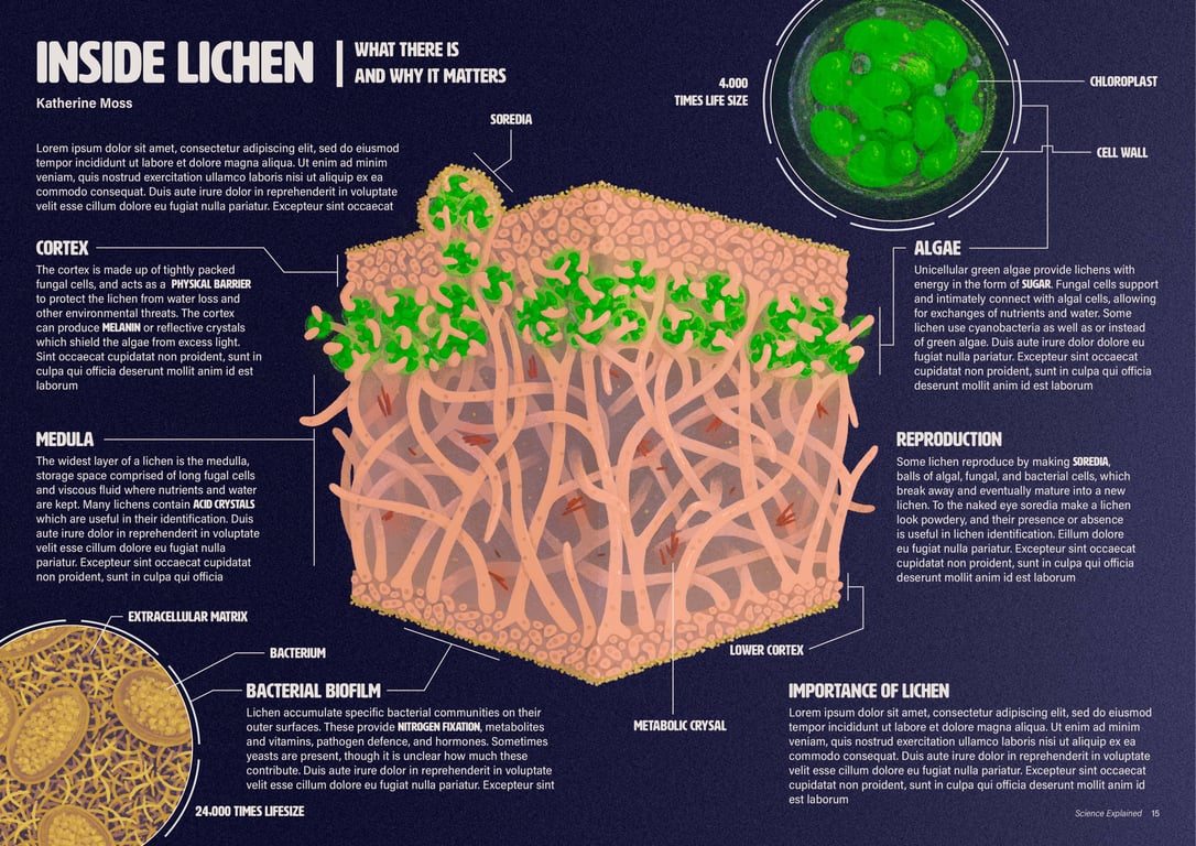 Ethan Roos Inside a Lichen